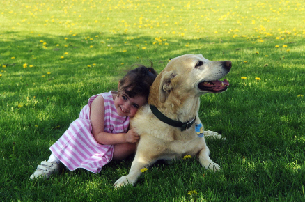 Sandy Pines Boarding Kennel, Inc. - Image 1
